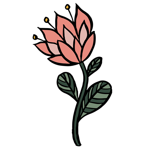img plant