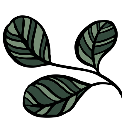 plant6