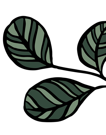 plant6